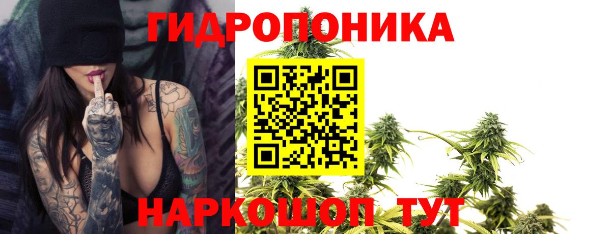 Бошки марихуана индика  МАРИХУАНА Ganja  Бошки Шишки гибрид  Вход с VPN  Новокузнецк 